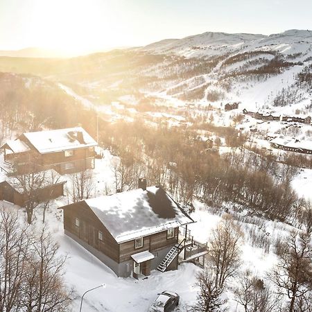 Hamrahoejden - Panoramavy & Naerhet Till Fjaellet Tänndalen 외부 사진